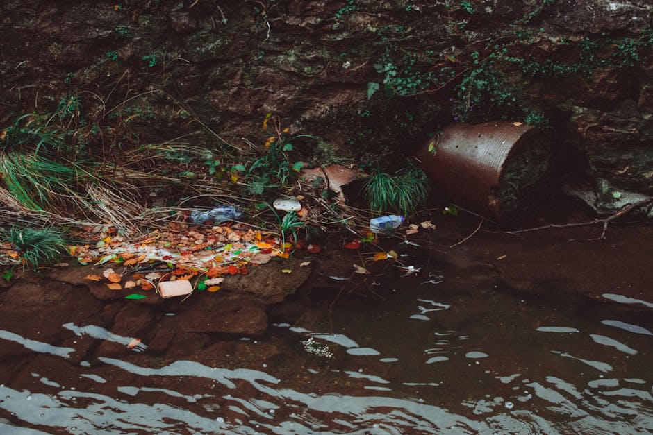 A close-up view of a small shoreline area showing litter and debris collected near a rocky outcrop. The scene features a mix of discarded plastic bottles, paper, and food wrappers scattered among brow